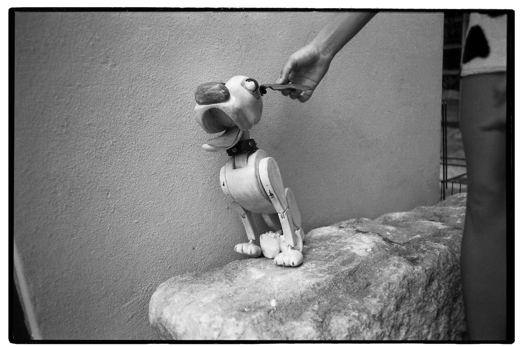  Desmond The Dog Puppet 